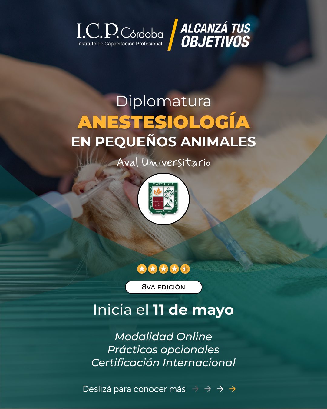 Diplomatura en Anestesiología en Pequeños Animales