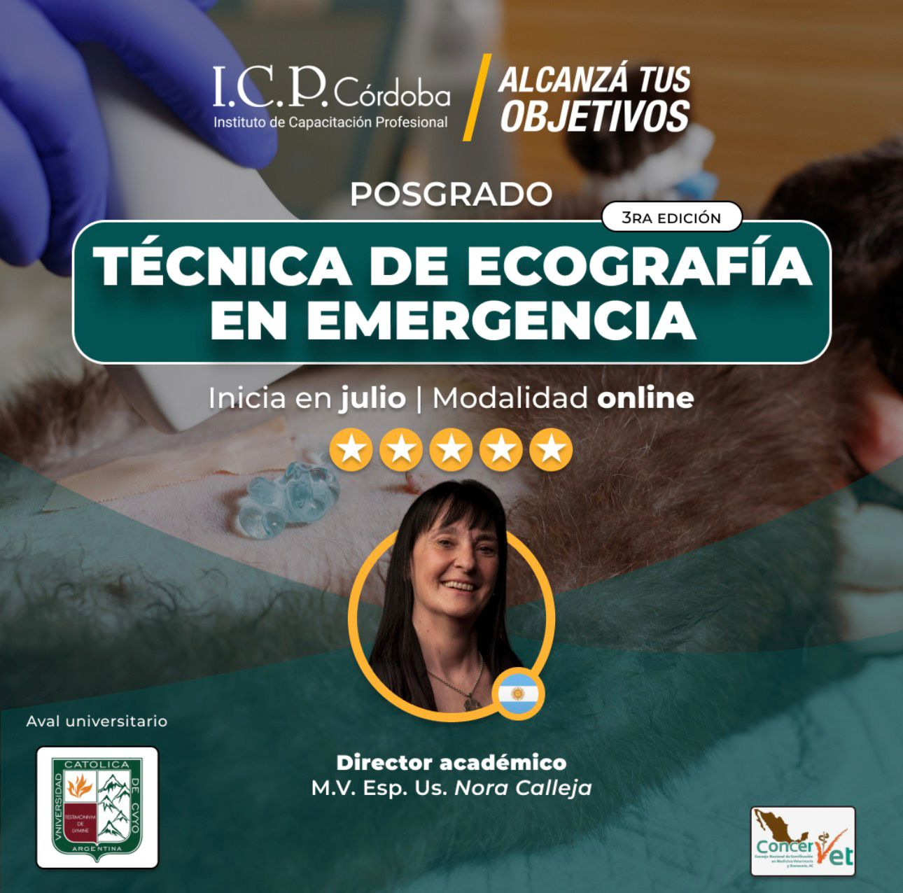 Ecografía en Emergencia