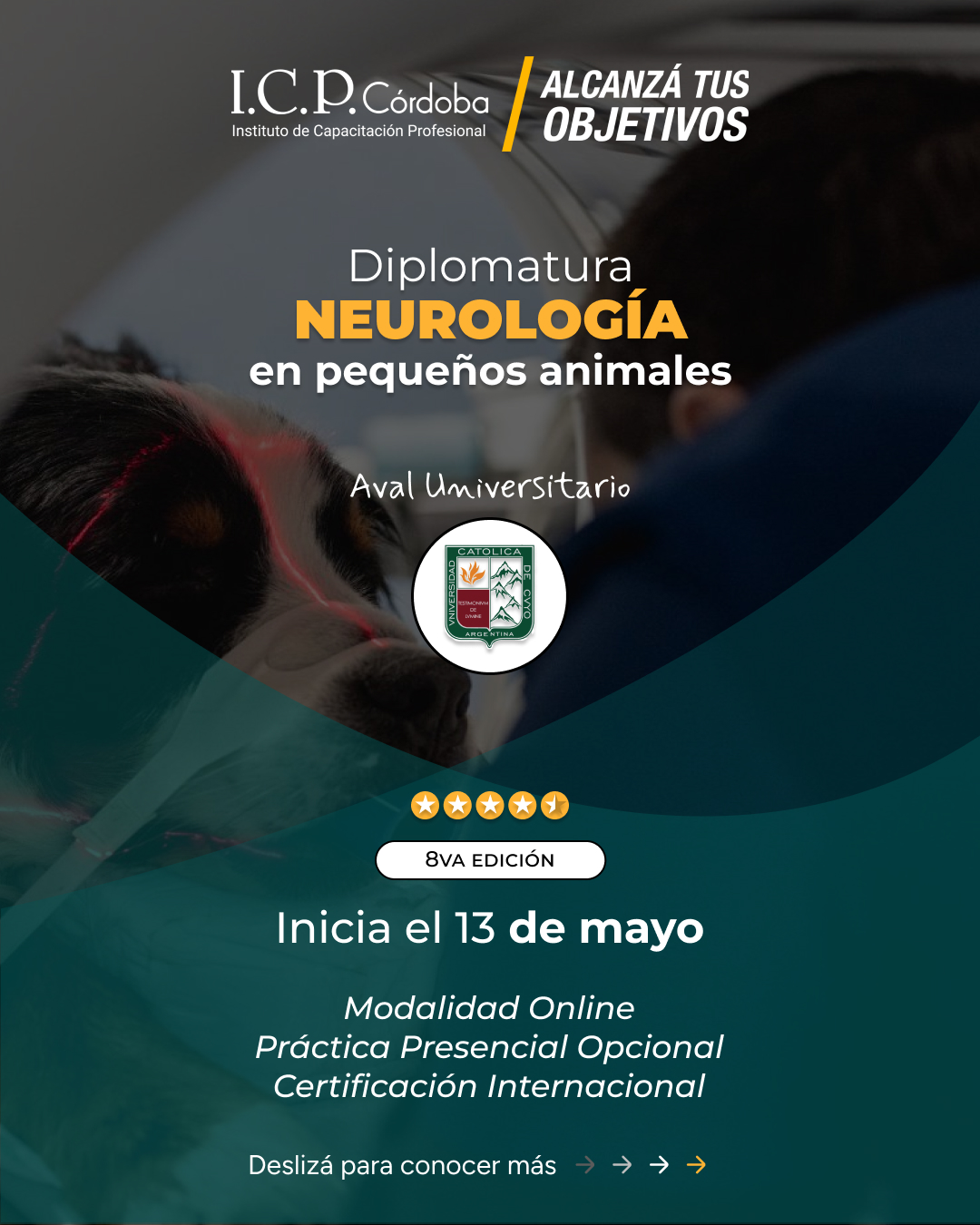 Diplomatura en Neurología en Pequeños Animales