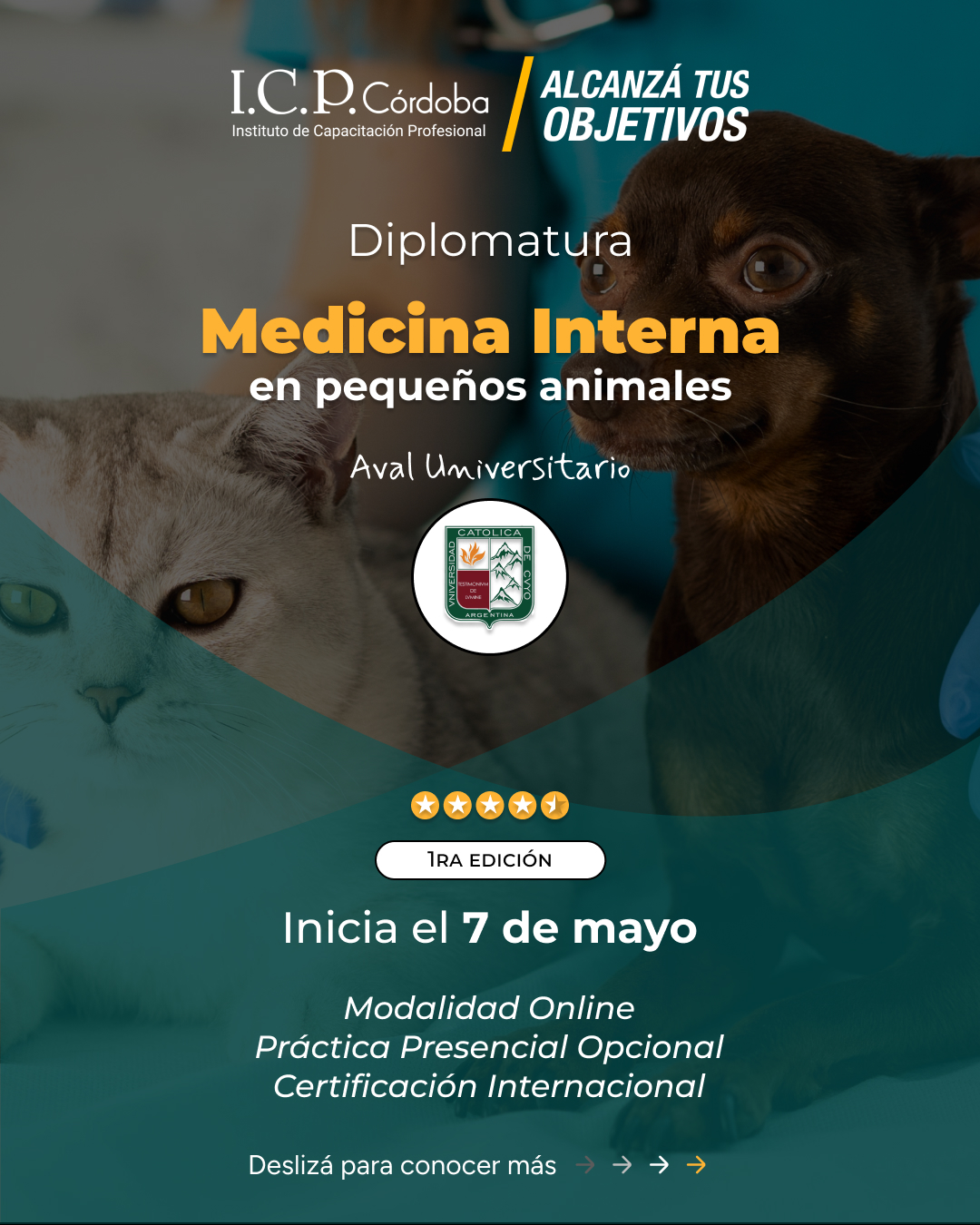 Diplomatura en Medicina Interna en Pequeños Animales